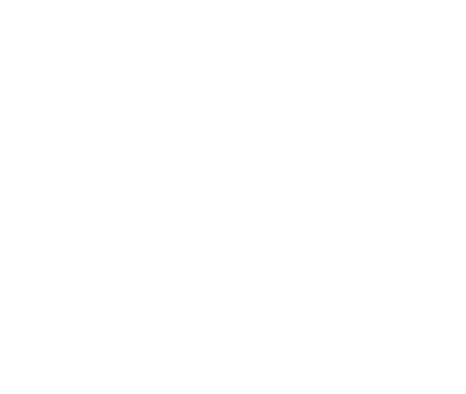 Fiat Professional logo